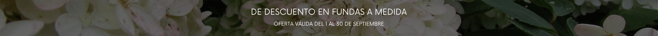 10% 